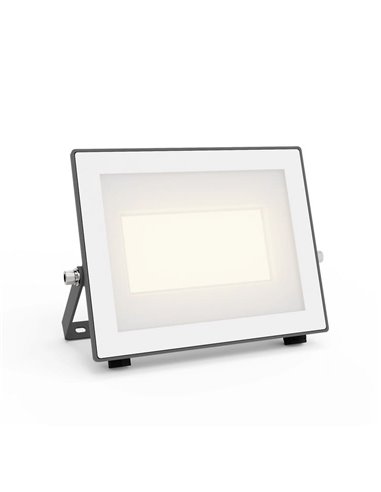 Projecteur extérieur ultra-performant LOIS, anthracite, 24W 3000K/5000K 4450Lm/45000Lm