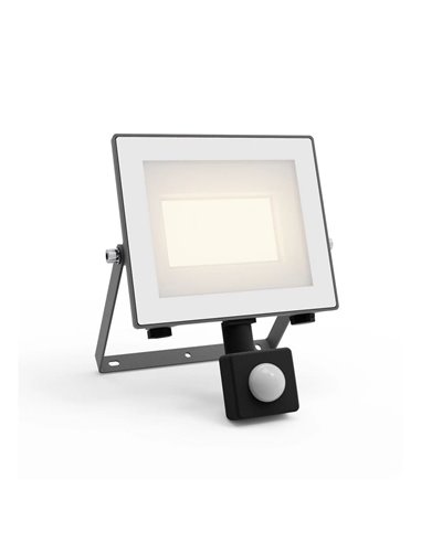 Projecteur à détecteur de mouvement ultra-efficace LOIS, 14 W 3 000 K/5 000 K 2 600 lm/2 650 lm