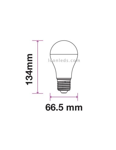 Ampoule E27 15W A65 Équivalent 100W - Blanc Chaud 2700K