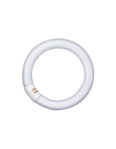 Tubo Led Circular T9 32w 40Cm | leonleds