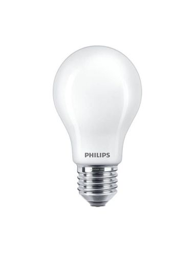 Philips E27 Ampoule LED A60 à intensité variable 100 W