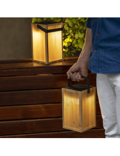 Acheter Cordon lumineux solaire extérieur 30 pieds, globe lumineux LED  étanche extérieur, 4 modes d'incassabilité, lumière solaire extérieure pour  jardins, cour arrière et porche