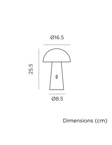 Lampe de jardin sur batterie Shitake (Noir)