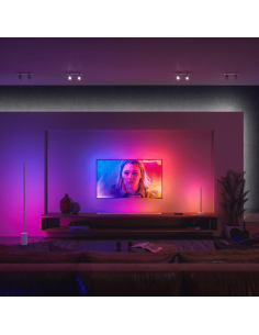 Philips Hue Go - Lámpara de mesa portátil de 1 unidad para uso en  interiores y exteriores, ambiente blanco y de color, compatible con Alexa,  Apple