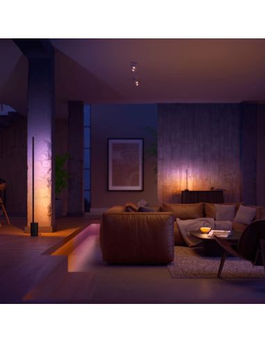 Philips Hue Gradient Signe Pack de 2 Lámparas de Mesa LED RGB Negra