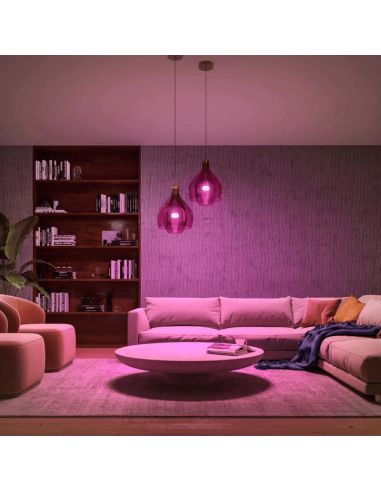 Philips Hue White and Color Ambiance Lightguide lampe ellipse claire  dimmable - E27 6.5W 500lm 2000K