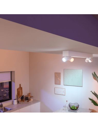 Panneau LED pour plafond système blanc rectangulaire avec LED