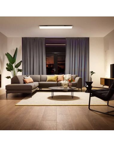 Philips Hue White Ambiance CHER Plafonnier 39W -…