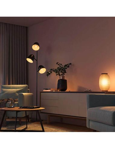 Philips Hue White Pack 2 Ampoules LED Intelligentes Lustre P45 E14