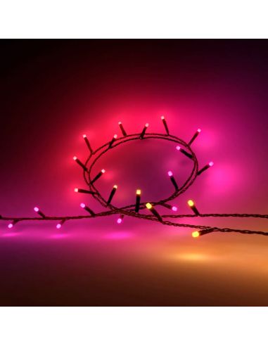 Guirlande lumineuse extérieure LED multicolore - Facile Location &  Réception - F-L-R