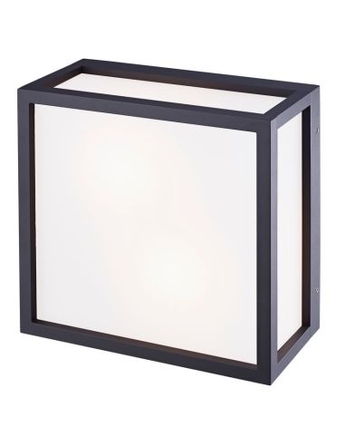 Plafón exterior 2 Luces UTAH 2 Luces ip65, Gris oscuro IP65