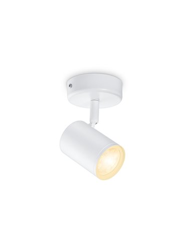 Spot Imageo blanc orientable 21W 2700K - 6500K Wifi, Contrôle via application ou voix