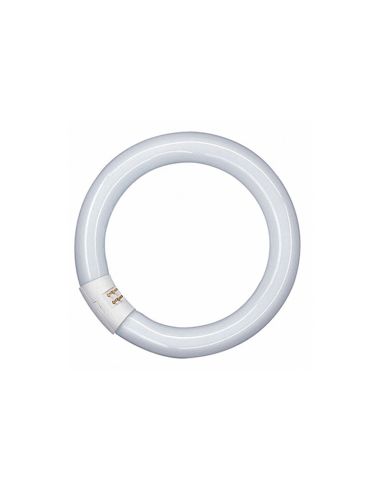 Tube Led Circulaire T9 - 20W 30cm