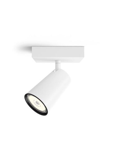 Spot 1 Lumière pour Plafond ou Mur PAISLEY Couleur Blanc IP20 | LéonLeds