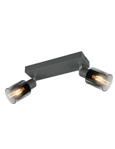 Regleta de Techo Orientable 2 Focos CADIZ Pantalla Ahumada 2xE14 | LeonLeds