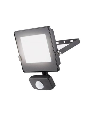 Projecteur LED IP65 avec capteur PIR, ECO FLOOD 10W, 800Lm, 4000K, noir